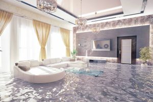 What Do You Do If Your House Has Water Damage?