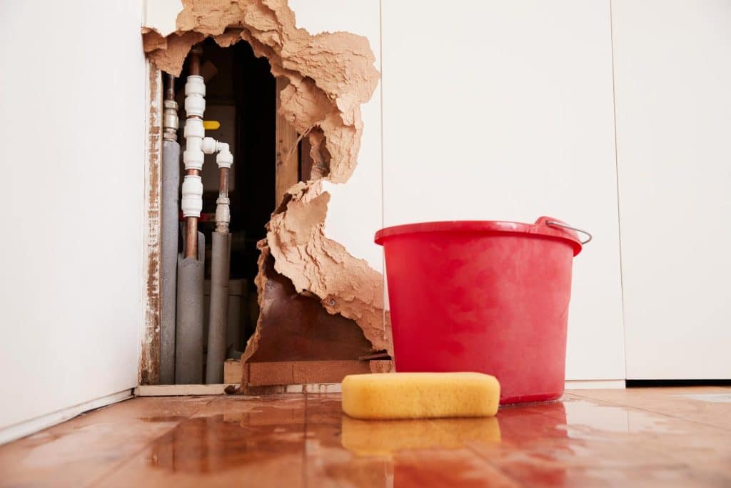 What Causes Water Damage in Homes?