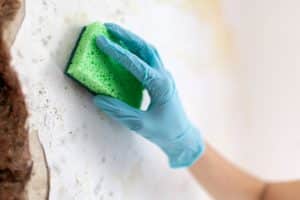 How to Prevent Mold Growth in Your Home?