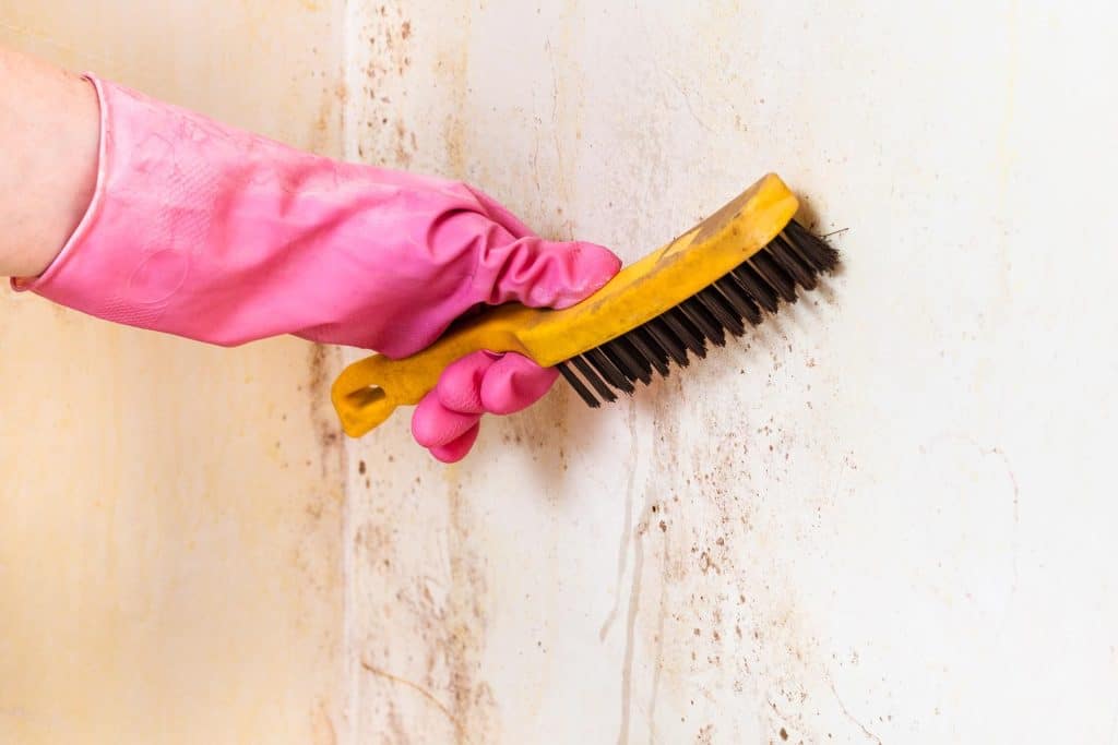 If you have recently sustained water damage in your home, you may be searching for the best ways to prevent mold growth in your home?