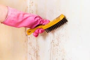 If you have recently sustained water damage in your home, you may be searching for the best ways to prevent mold growth in your home?