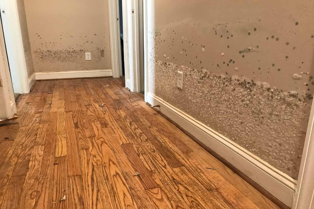 How do you restore water damage?