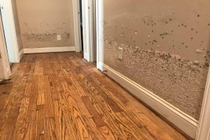 How do you restore water damage?