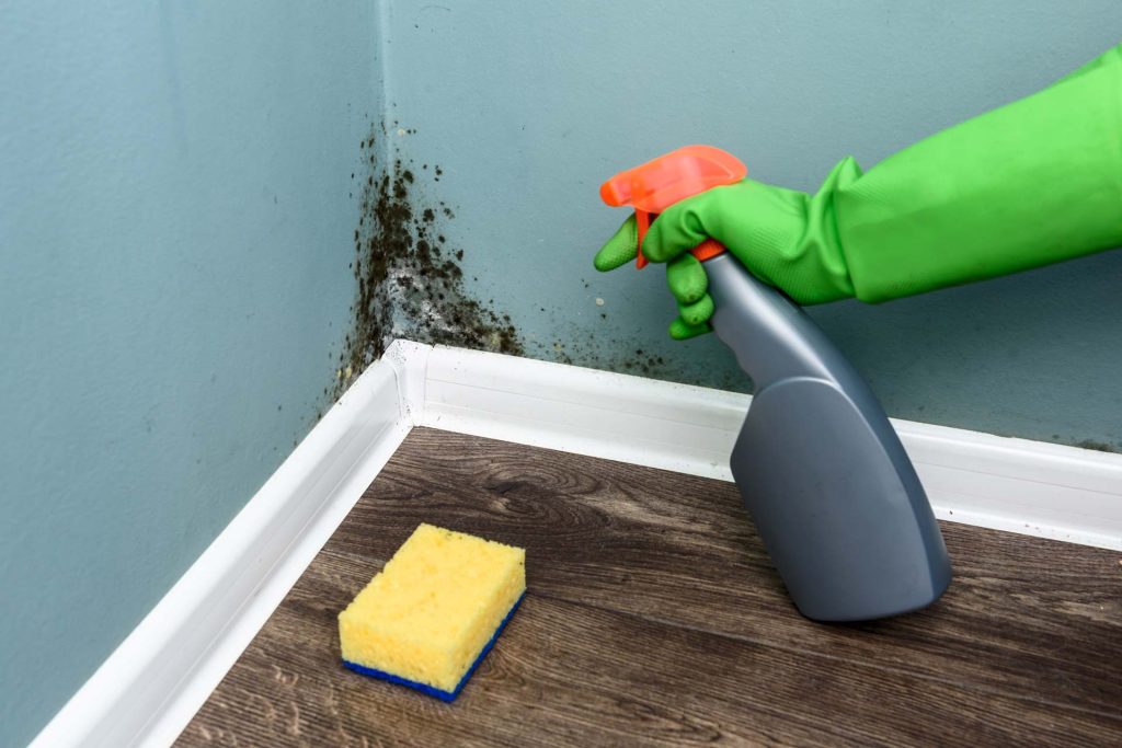 How to Prevent Water Damage and Mold During Winter?