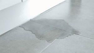 Signs of Water Damage