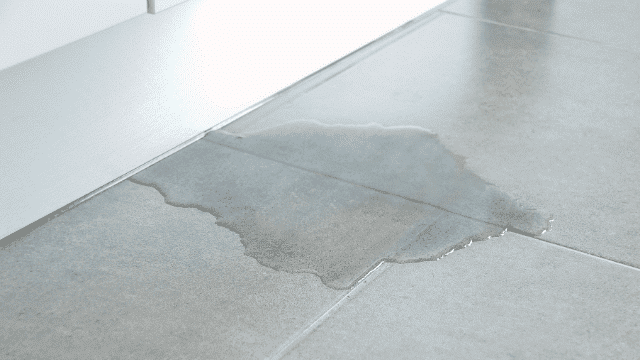 Signs of Water Damage