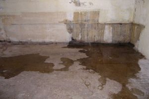 How Do I Check to See if My Sump Pump is Working?