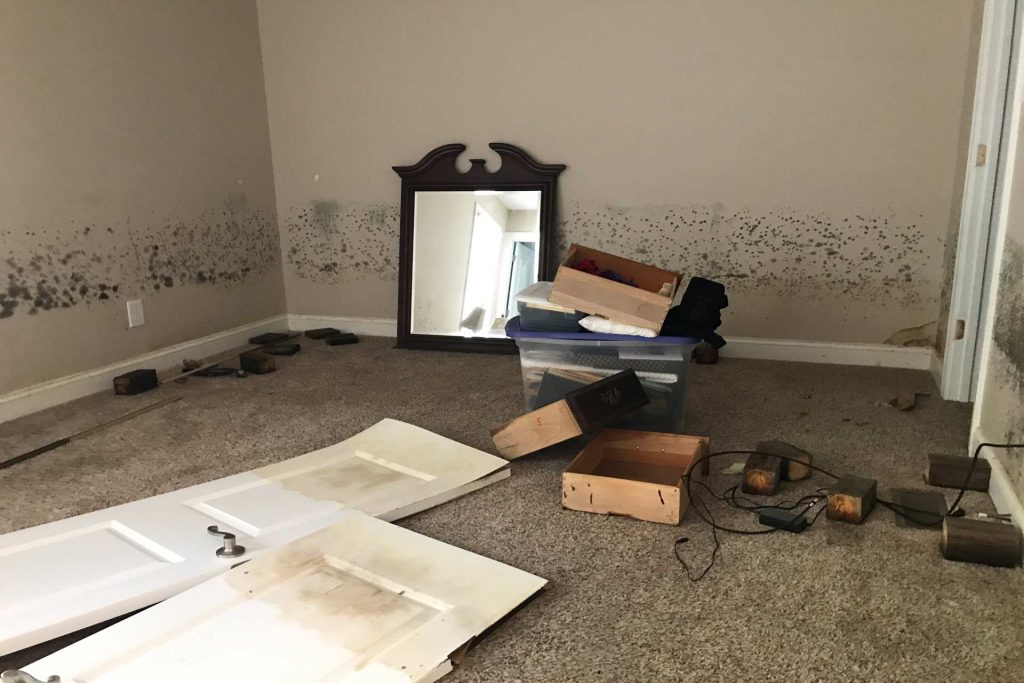 Everything You Need to Know About Water Damage Restoration