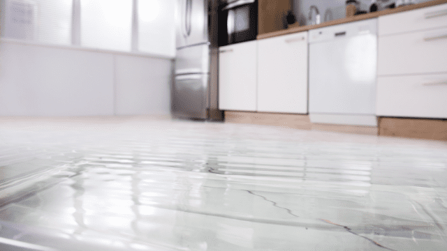 Water Damage Restoration Process