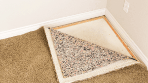 black-mould-on-carpet