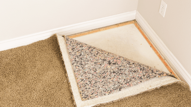 black-mould-on-carpet
