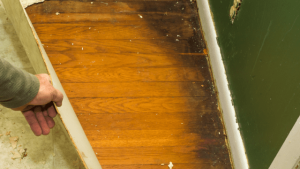 signs-of-hardwood-floor-water-damage