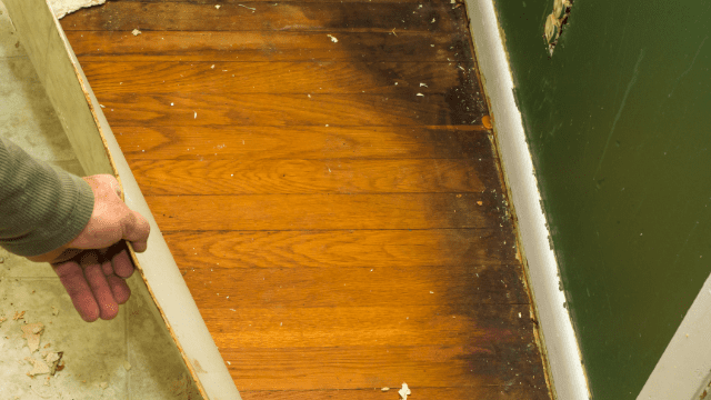 signs-of-hardwood-floor-water-damage