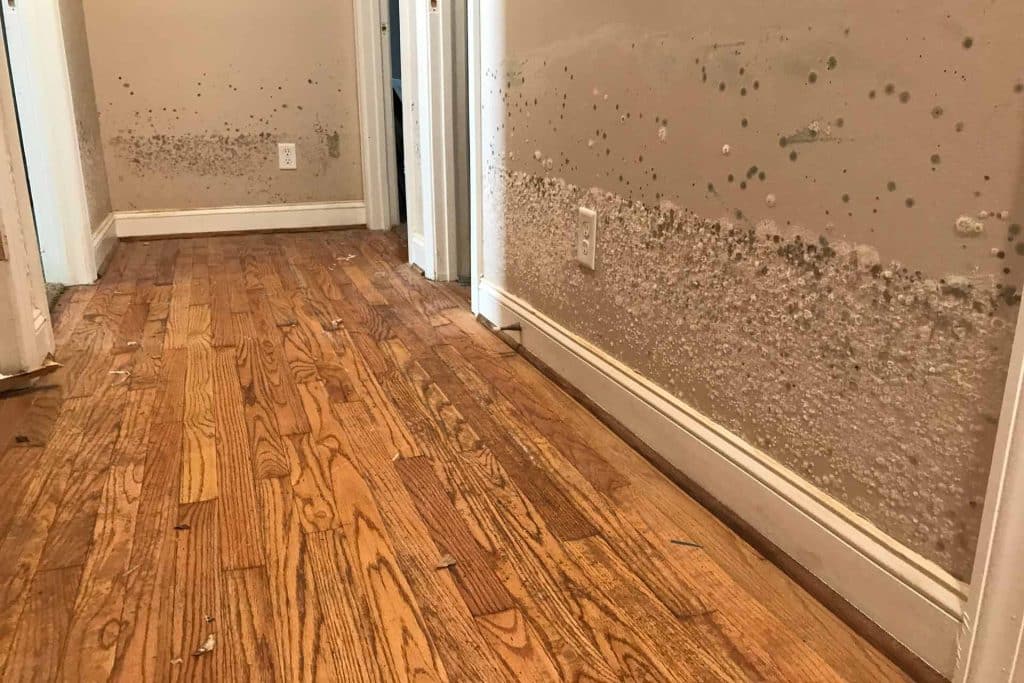 What Should I Do Immediately After Water Damage?