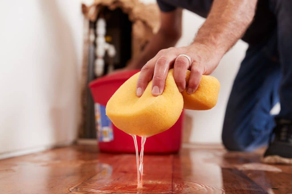 5 Tips to Treat Wood After Water Damage